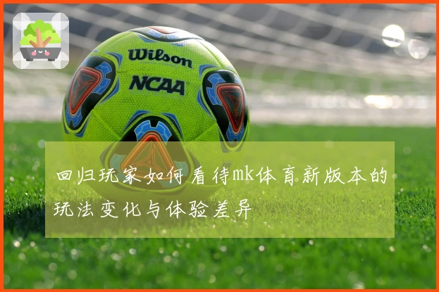 回归玩家如何看待mk体育新版本的玩法变化与体验差异